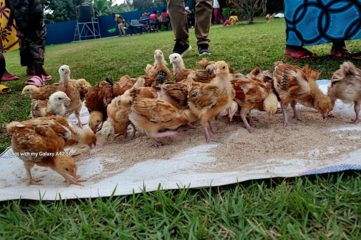 Community Garden Project